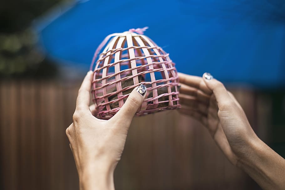 person, holding, pink, birdcage, basket, hands, wrist, nail, art, palm