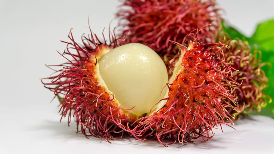 close-up, rambutan fruit, Rambutan, Fruit, Background, Fresh, white, red, food, sweet