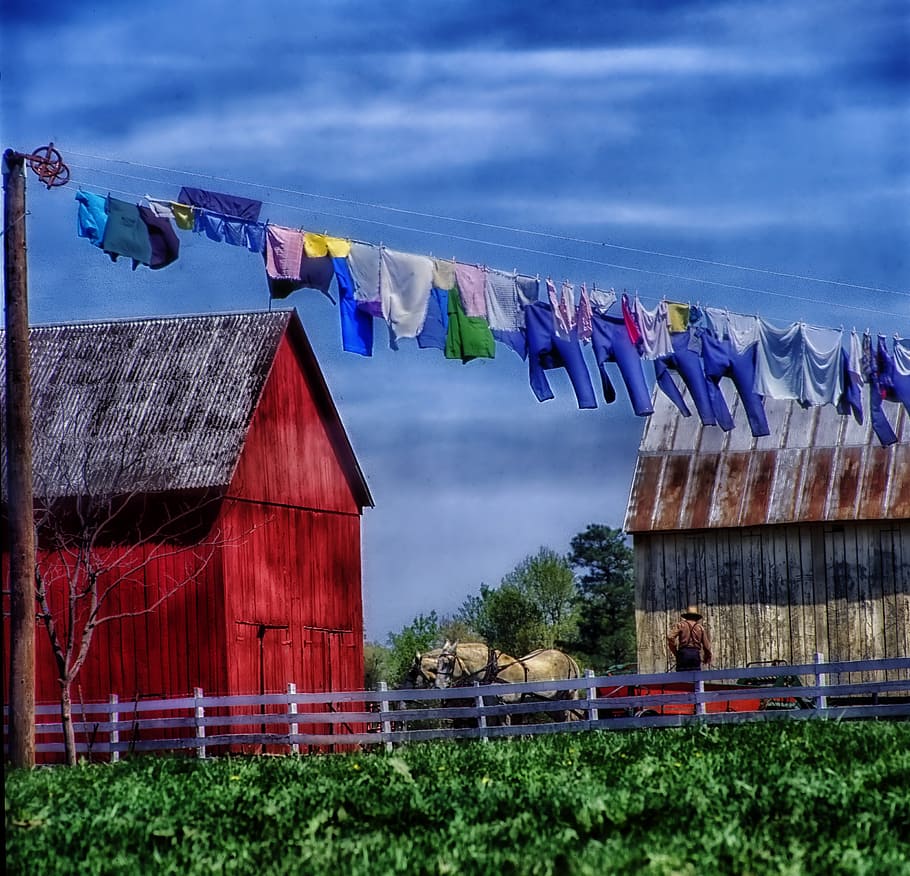 assorted-color clothes, hanging, wire, daytime, amish farm, rural, horse, field, barn, shed