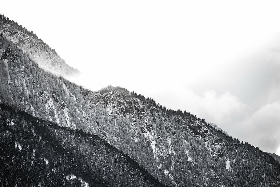 mountain grayscale photograph, grayscale, photography, mountain, daytime, winter, snow, trees, forest, hills