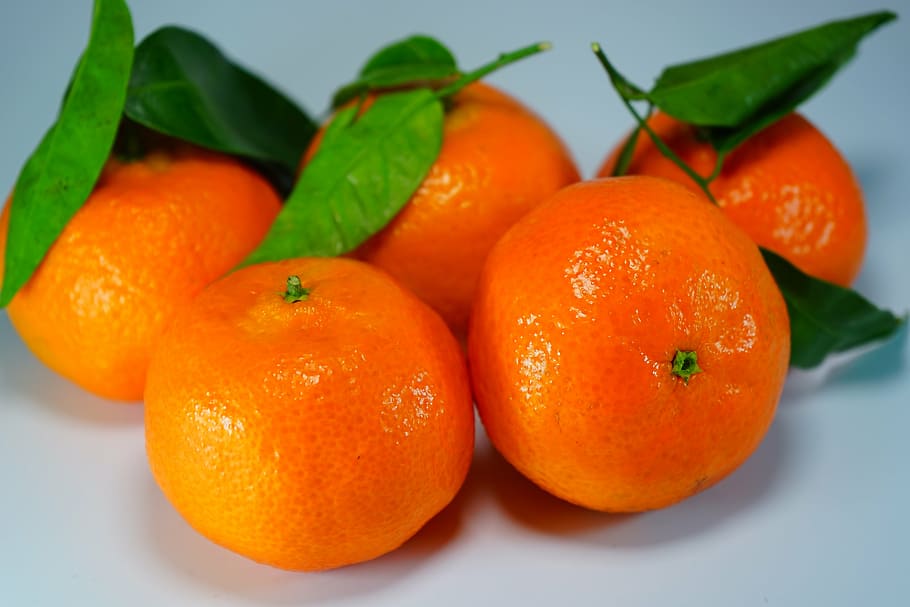 five orange fruits, oranges, tangerines, clementines, citrus fruit, orange, fruits, leaves, fruit, healthy