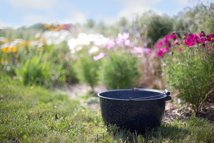 shallow, focus photography, black, bucket, Washtub, Kettle, Nature, Outdoors, antique, old