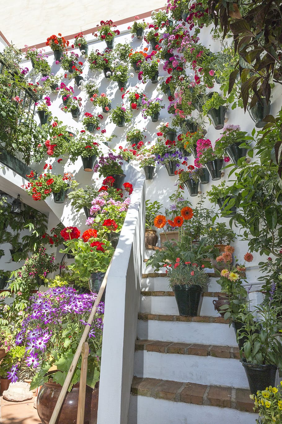 courtyards, cordoba, patios de córdoba, spain, flower, flowerpot, flowers, green, potted plant, leaves