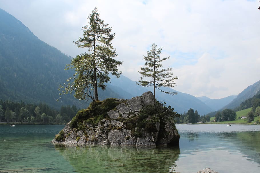 two, trees, stone, middle, lake, two trees, hintersee, berchtesgaden, bavaria, nature