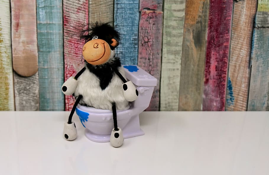 toilet, cow, figure, loo, cute, funny, wc, session, representation, toy
