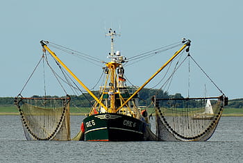 fishing-boat-fishing-fishing-vessel-fischer-royalty-free-thumbnail.jpg