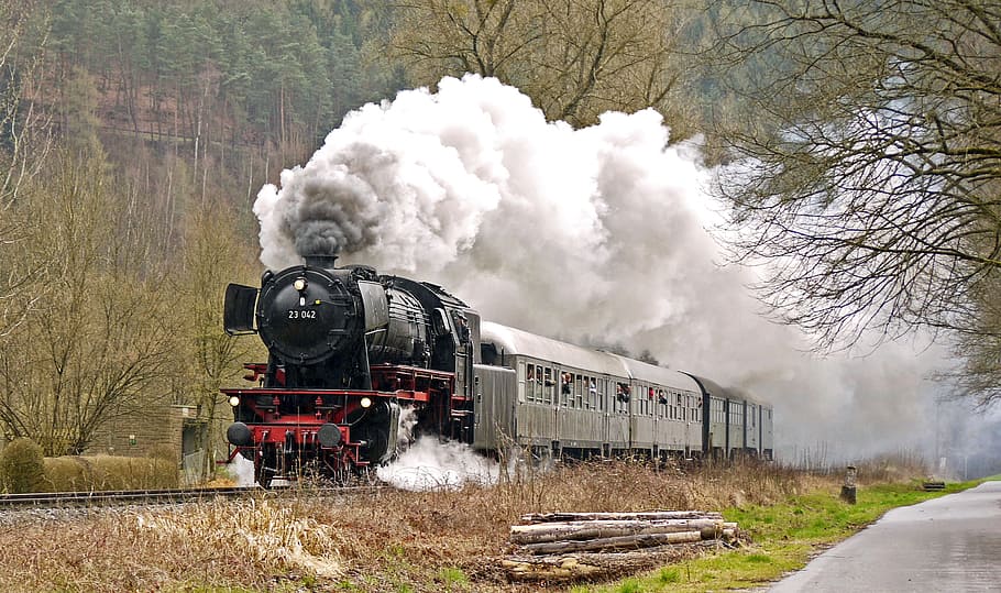 gray, black, train, green, tall, tress, locomotive, track, steam locomotive, plan steam