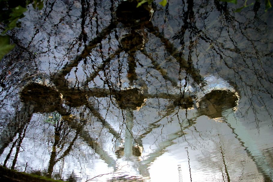 Atomium, Architecture, Reflection, tree, low angle view, nature, day, sky, water, plant