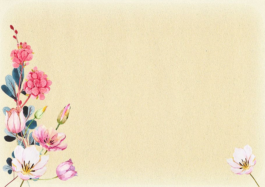 ピンク, 花, グラフィック, 壁紙, 紙, ヴィンテージ, 背景, 古い紙, 開花植物, 植物