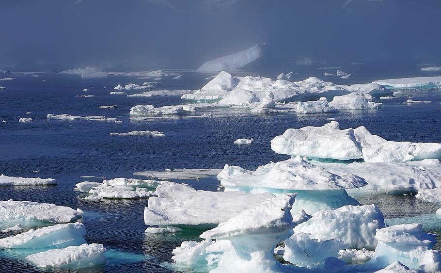 iceberg disperso, icebergs, mar, hielo, groenlandia, círculo polar ártico, frío, región polar, iceberg - Formación de hielo, nieve