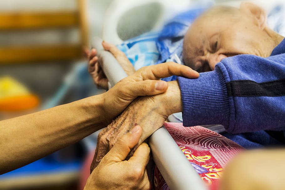 person, holding, hands, man, bed, hospice, caring, holding hands, elderly, old