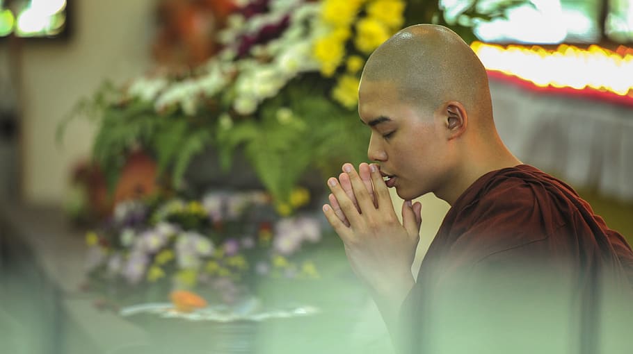 Theravada Buddhism, Homage, Blessing, pay respect, re, faith, pray, religion, worship, respectfully
