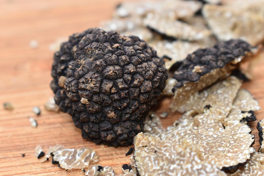 truffle, summer, mushrooms, gastronomy, parts, fresh, food, food and drink, close-up, healthy eating