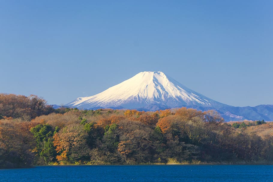 富士山, 日本, 青空, 空, 山, 自然, 紅葉, 世界遺産, さやま湖, 風景