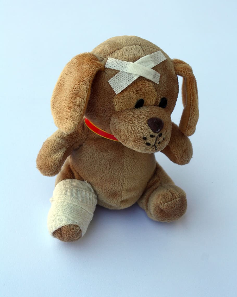 brown, dog, plush, toy, teddy, stuffed animal, ill, injured, fever, broken