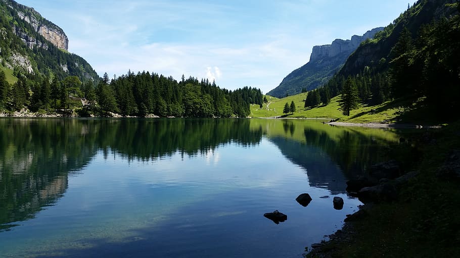 fotografía de paisaje, agua corporal, árbol, seealpsee, suiza, alpes suizos, agua, reflejo, appenzell, naturaleza