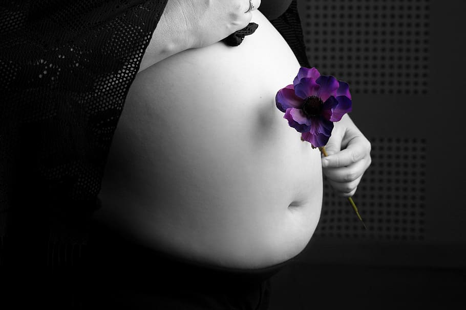 pregnancy, abdomen, women, natal, new start, one person, midsection, holding, flower, human body part