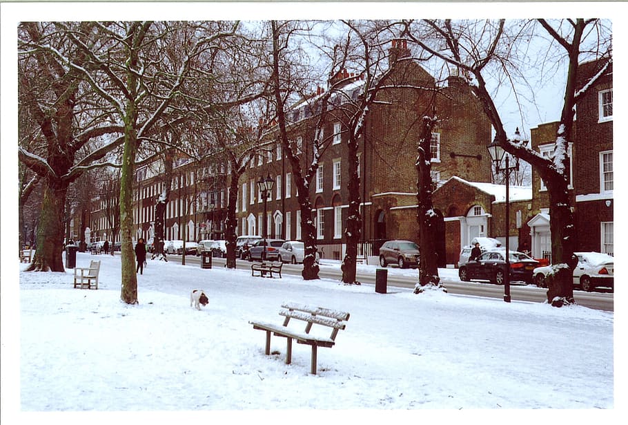 brown, concrete, houses, covered, snow, daytime, london, england, winter, cold