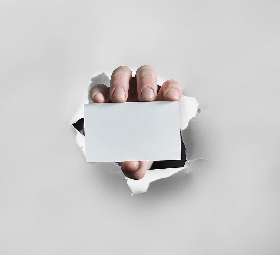 person, holding, white, blank, card, business card, hand, business, showing, space