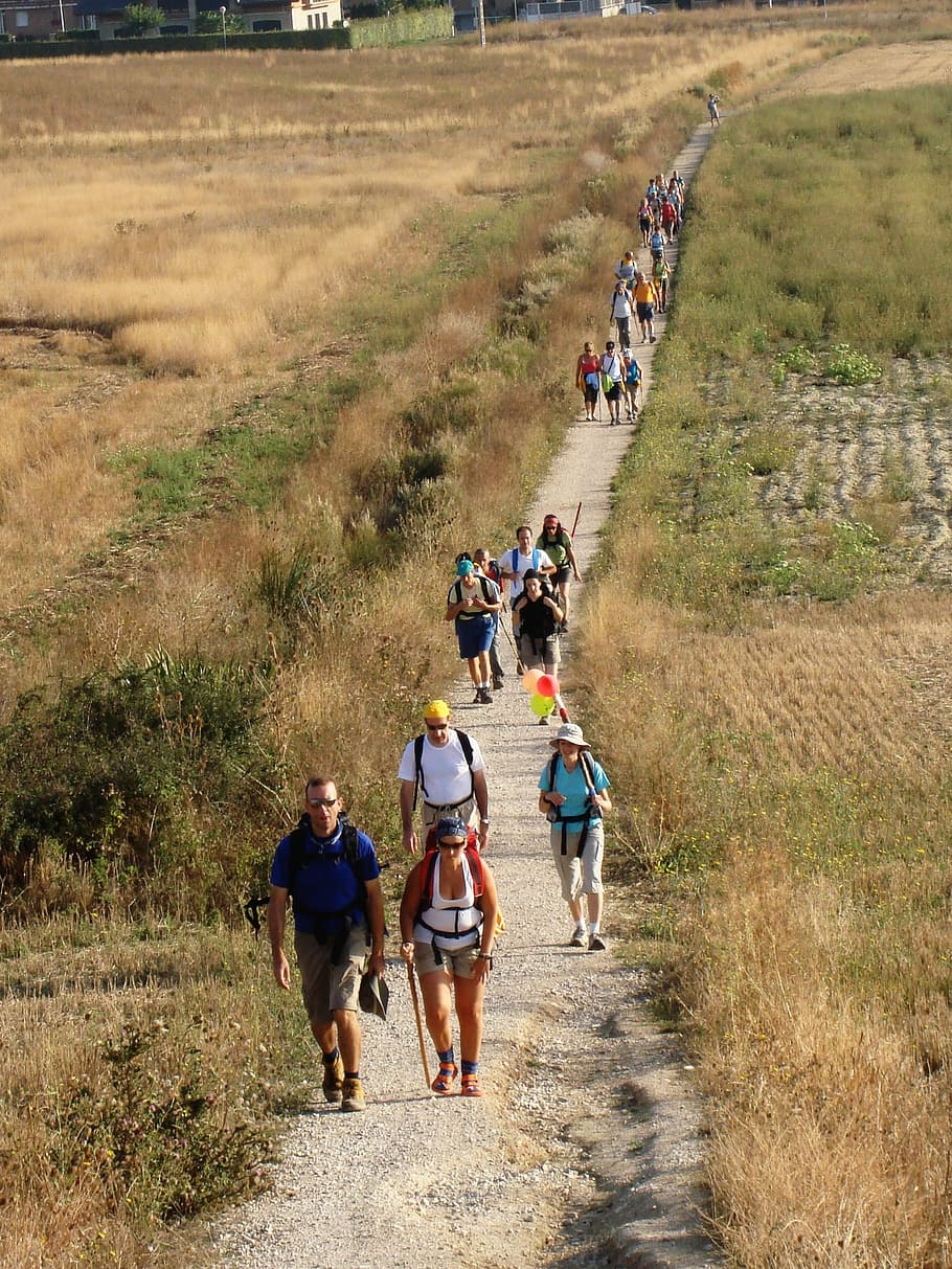 grup, orang-orang, berjalan, siang hari, Camino, Santiago, Galicia, Pilgrim, Path, camino santiago