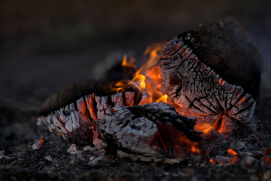 camp, fire, campfire, wood, logs, burn, flames, ashes, bokeh, heat - temperature