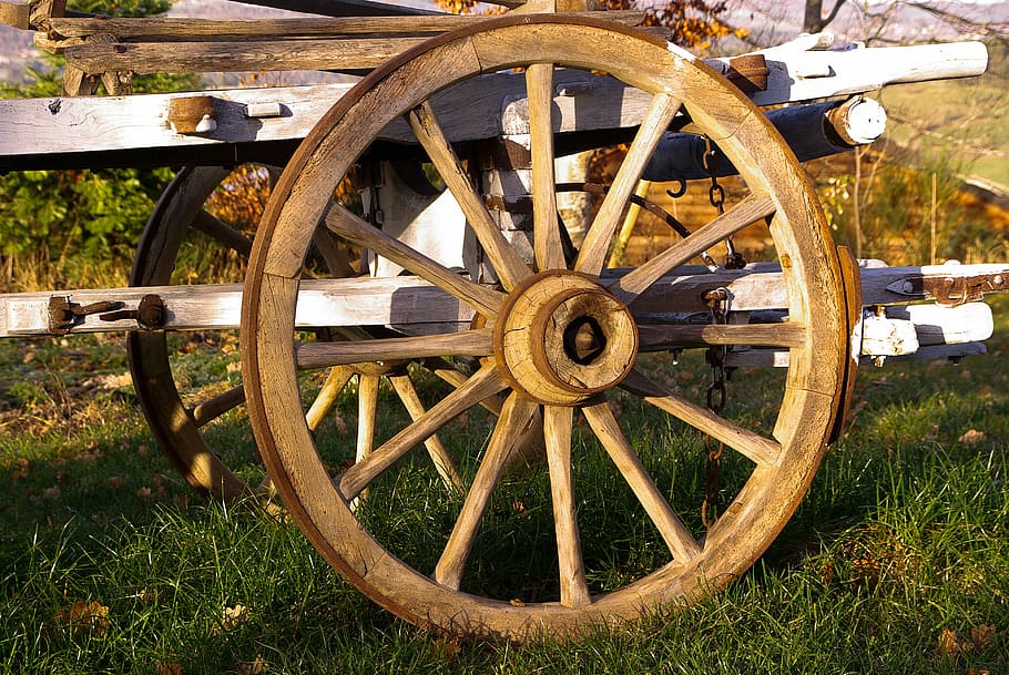 brown carriage wheel, cart, wheel, agriculture, farm, wagon wheel, grass, old-fashioned, transportation, field