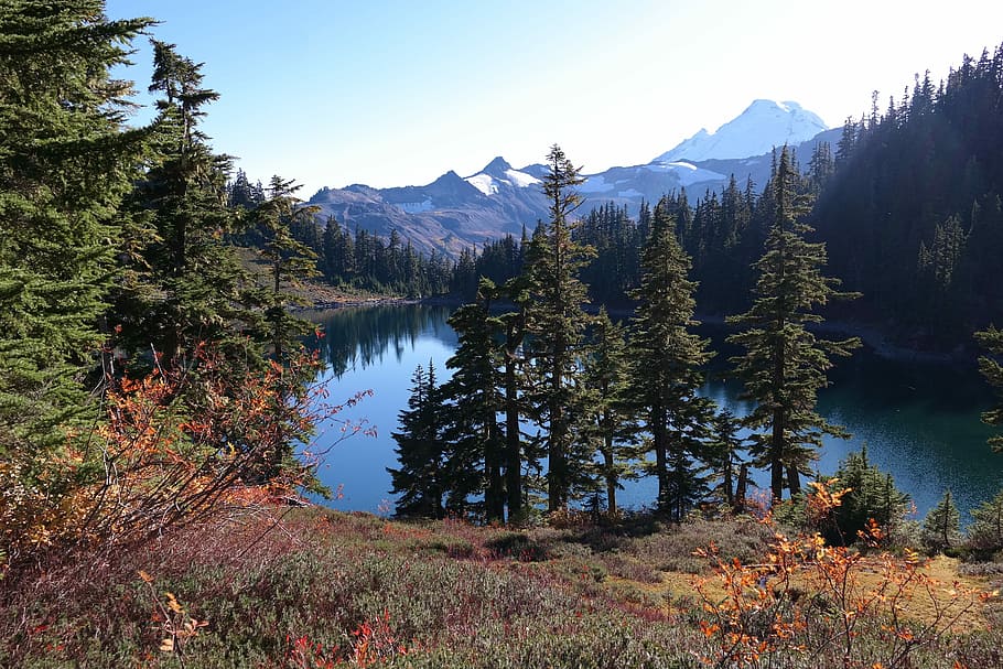 montaña, lago, naturaleza, paisaje, pintoresco, agua, bosque, Canadá, al aire libre, árbol