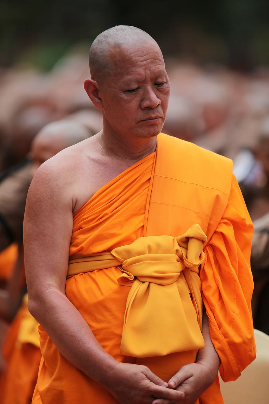 monk, buddhist, meditate, tradition, ceremony, orange, robe, standing, man, thailand