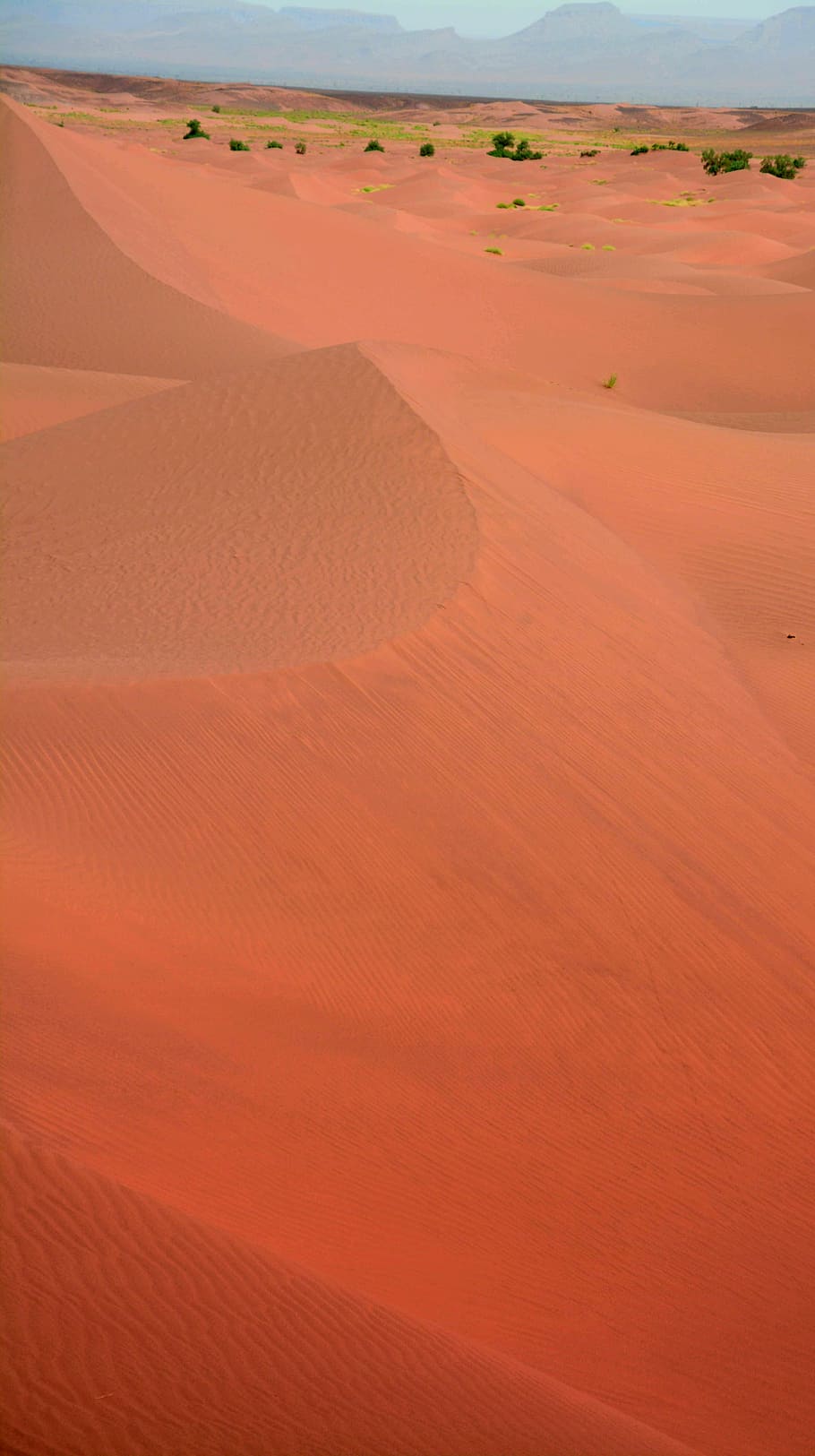 sahara, naranja, vacaciones, desierto, duna de arena, arena, naturaleza, seco, desierto del sahara, paisaje