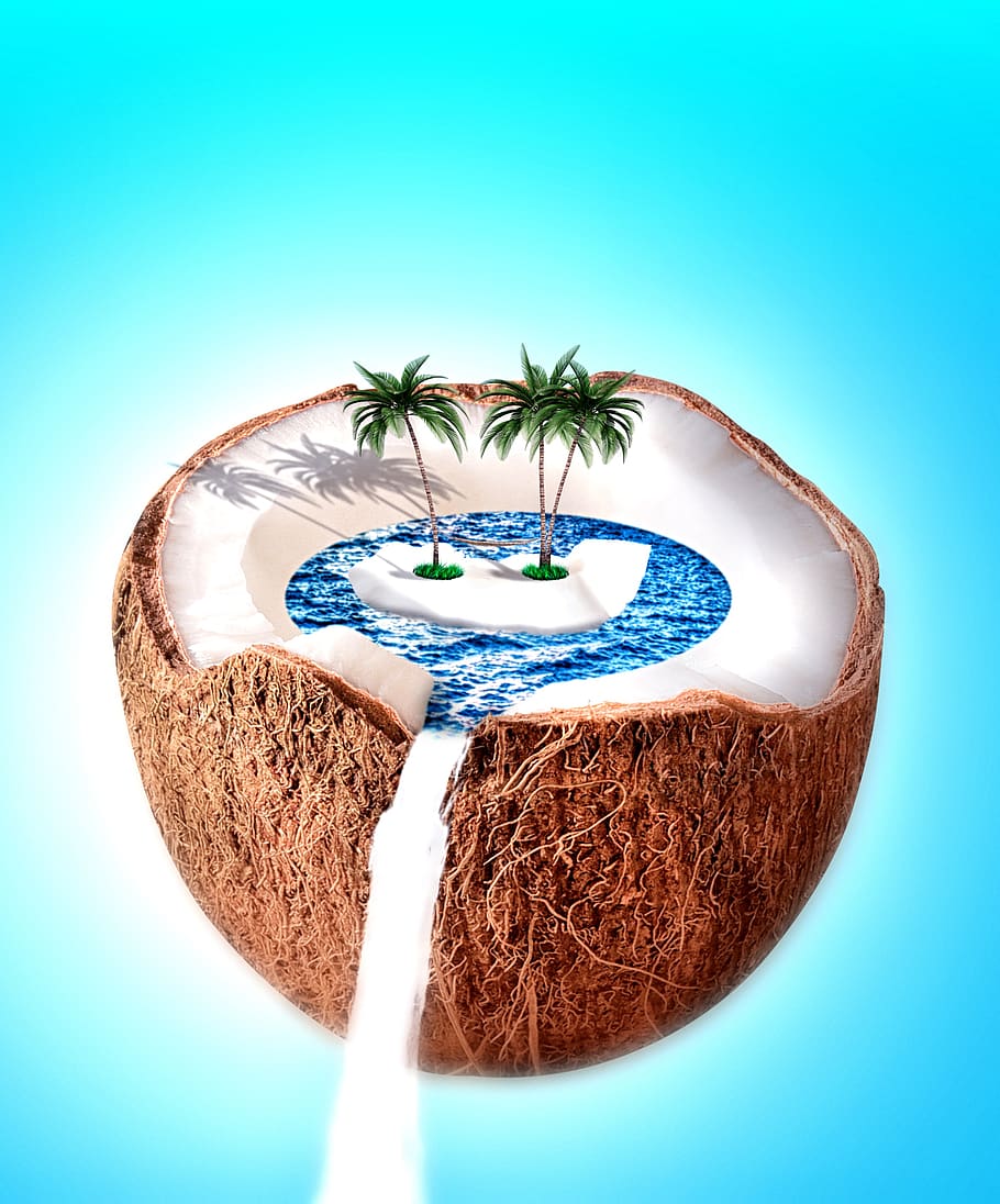 coconut, sea, vacations, ocean, beach, island, tropical, exotic, travel, paradise