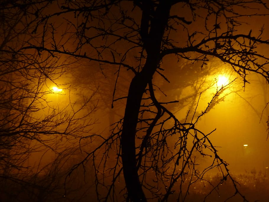Fog, Night, Light, Lamps, Gloomy, Creepy, night, light, blacked out, slurry, colourless