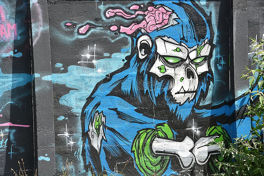 painting, blue, green, monkey, green monkey, fresco, graffiti, city, painted walls, urban