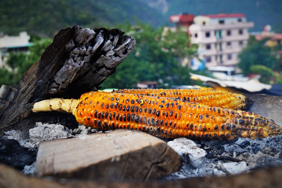 india, rishikesh, travel, uttarakhand, food, food and drink, wood - material, day, close-up, focus on foreground