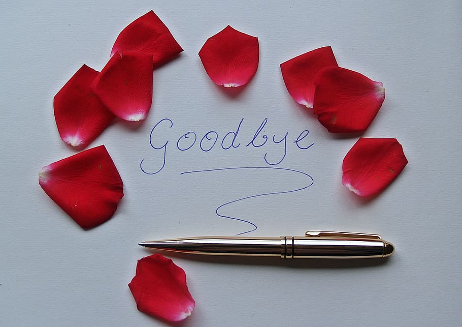 ouro, retrátil, caneta, branco, papel para impressora, adeus, palavra, pétalas de rosa, vermelho, brilhante