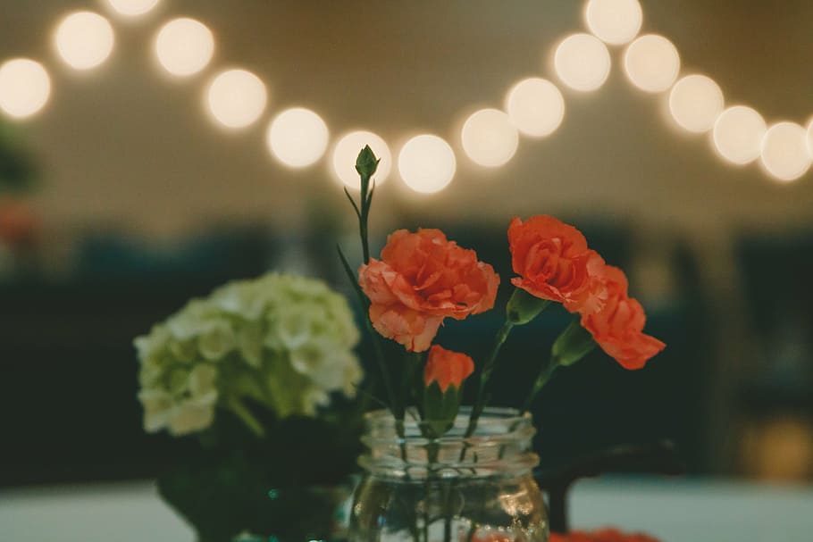selective, focus photo, red, petaled flowers, clear, glass vase, tilt, shift, lens, photography