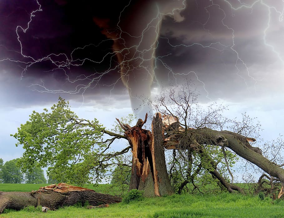 tornado destroying stuff, Tornado, stuff, nature, public domain, storm, weather, sky, tree, landscape
