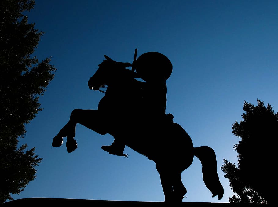 silhouette photo, man, riding, horse, tree, mexico, monument, statue, night, evening
