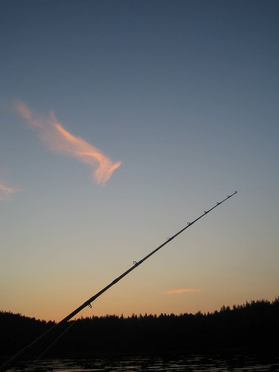 Fishing, Savonlinna, Finnish, trolling, holiday, saimaa, sunset, bird, fenix, silhouette