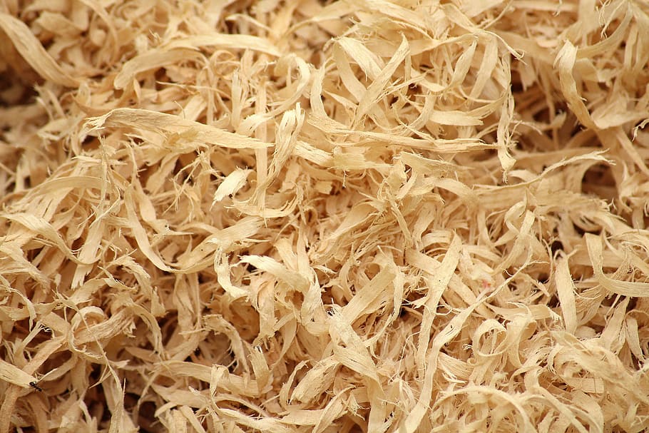 wood chunk lot, daytime, shavings, tree, sawdust, dry, model, texture, the background, the structure of the