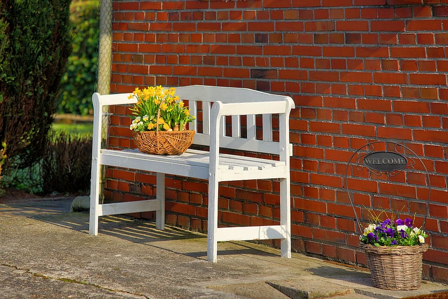 yellow, petaled flowers, wicker basket, white, wooden, bench, home, front side, spring, vorostern