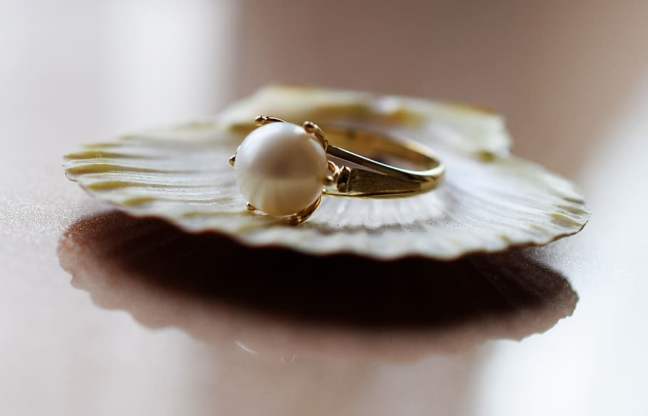 gold ring, top, shell, jewelry, pearls, gold, fashion, beauty, accessories, luxury