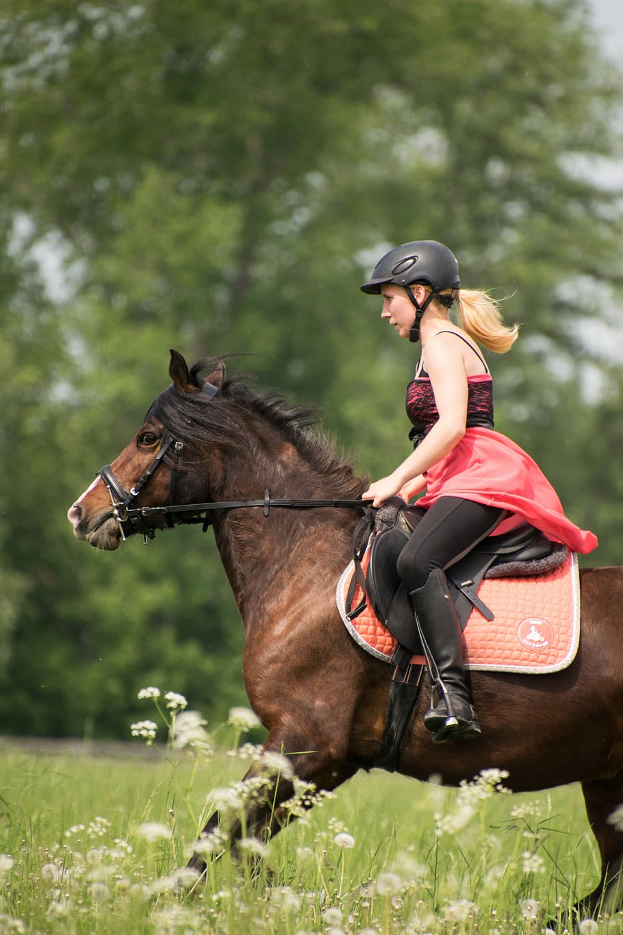 ride, white, gallop, animal, horse, reiter, dress, saddle, pony, girl