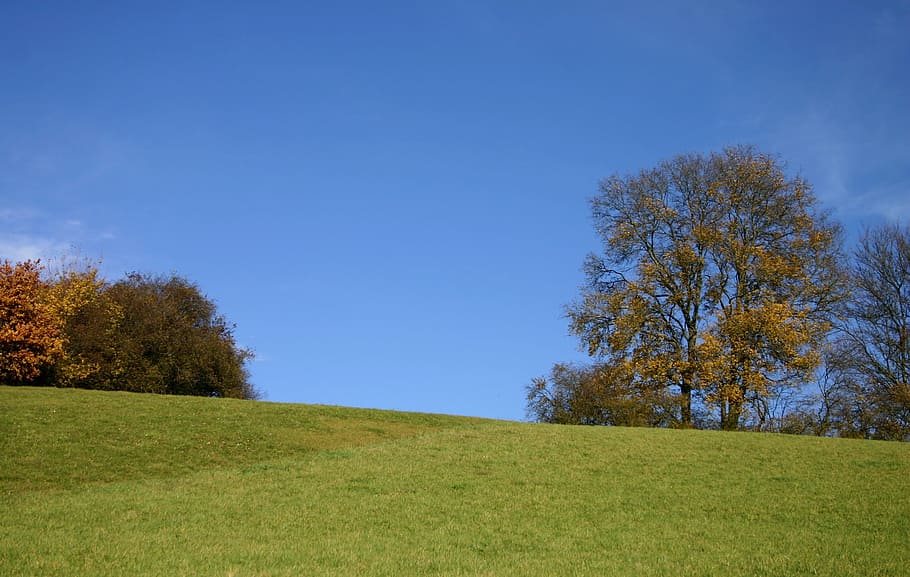 Hill, Landscape, Nature, Trees, Autumn, autumn mood, sky, blue, meadow, autumn colours