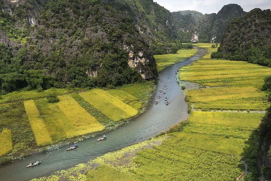 aerial, boats, body, water, travel, the boat, province, vietnam, cave, the ngo dong river