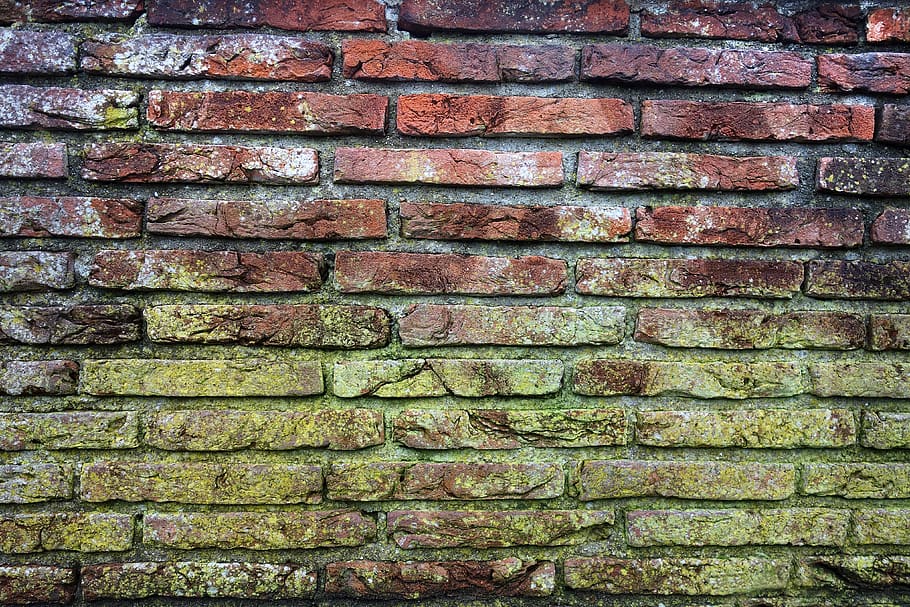 pared de ladrillo, moho, pared de ladrillo mohosa, pared de ladrillo rojo, albañilería, costura, mortero, ladrillo, textura de ladrillo, fondo de ladrillo