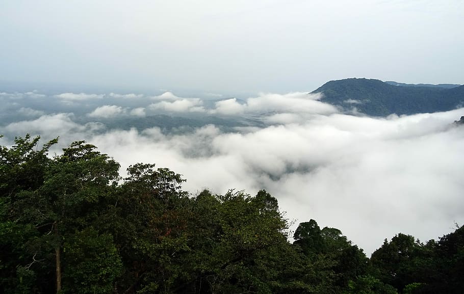 Selva tropical, nubes, montaña, Agumbe, panorama, exuberante, verde, escénico, paisaje, bosque