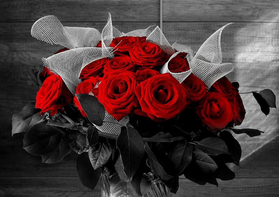 selective, color, red, rose, bouquet, flowers, black and white, flower, foliage, plant