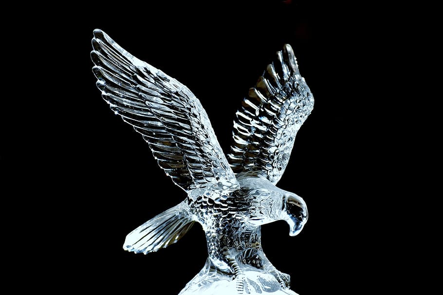 3d, estatuilla de águila de cristal, negro, fondo, adler, vidrio, escultura, frágil, transparente, noble