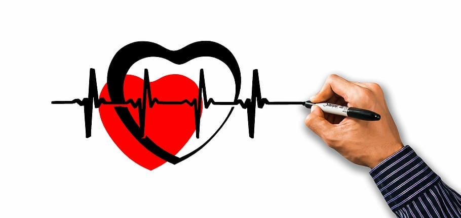人は心拍, 心臓, 祝福, 脈拍, 心拍数, 保護, ケア, 調査, 医療, 医者を描く