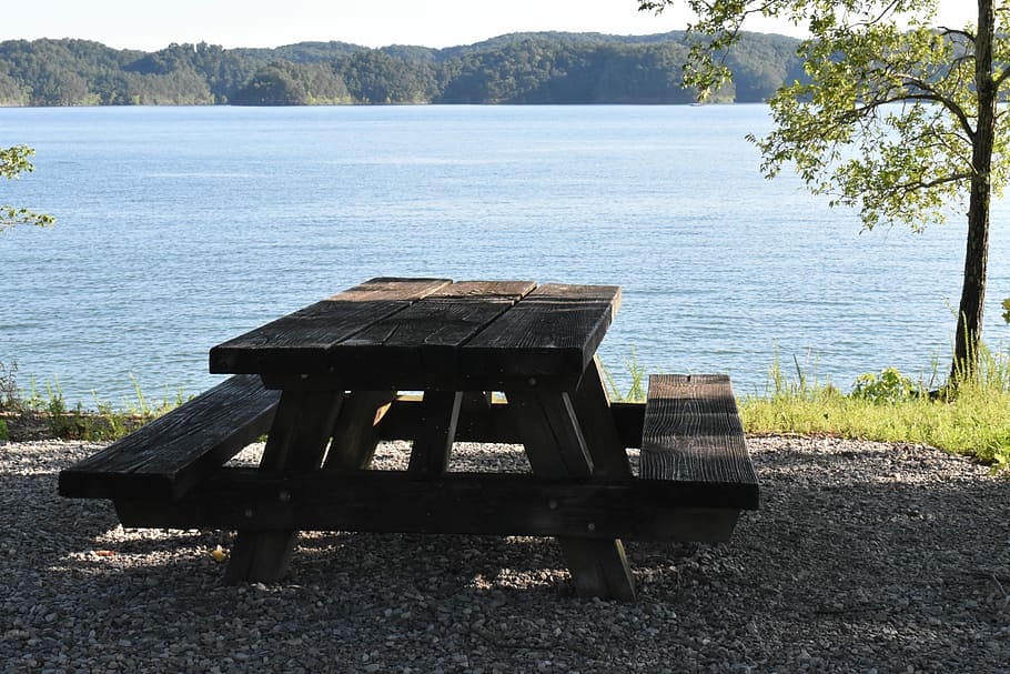 rectangular, brown, wooden, table, bench, body, awter, Picnic Table, Outdoor, Lunch